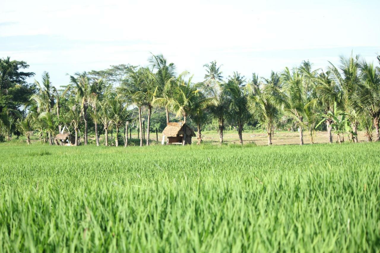 Ayuna Family Ubud المظهر الخارجي الصورة
