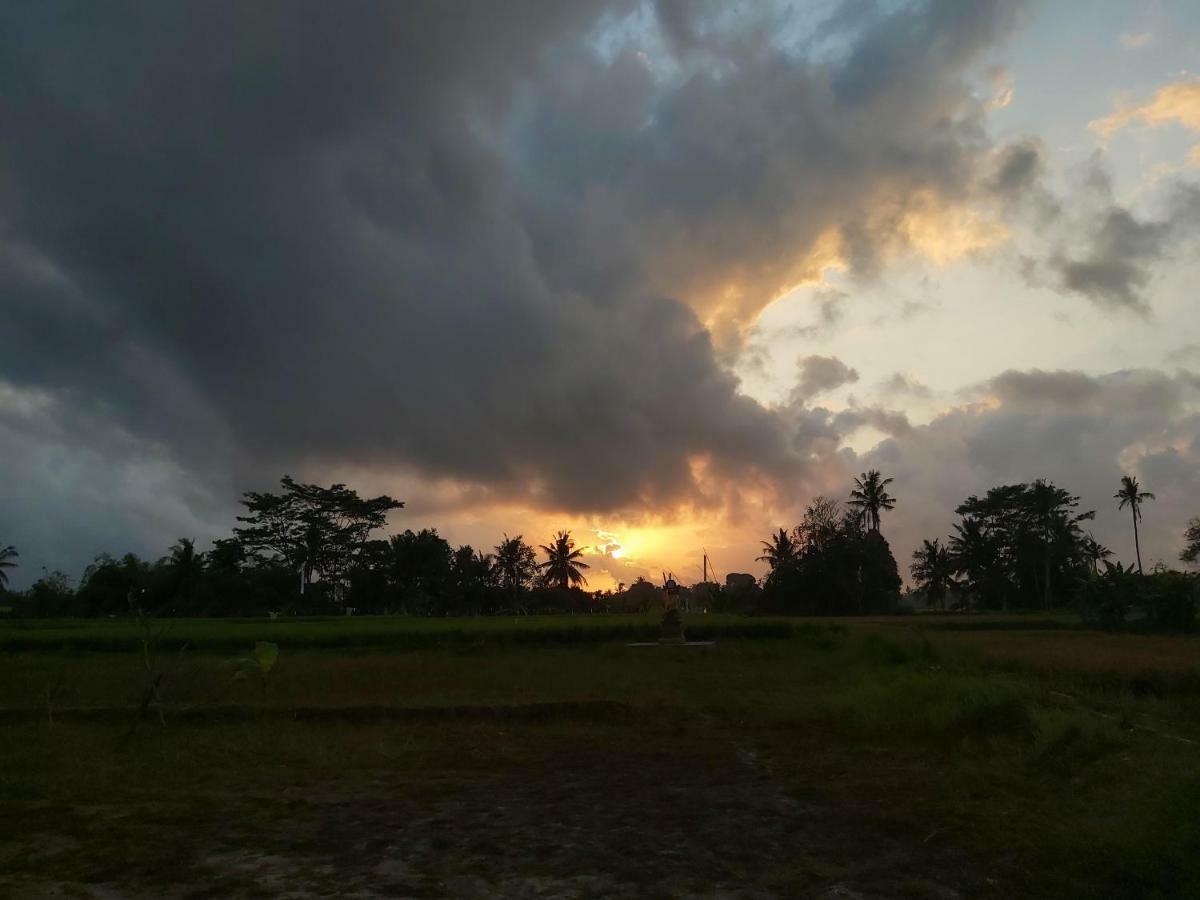 Ayuna Family Ubud المظهر الخارجي الصورة