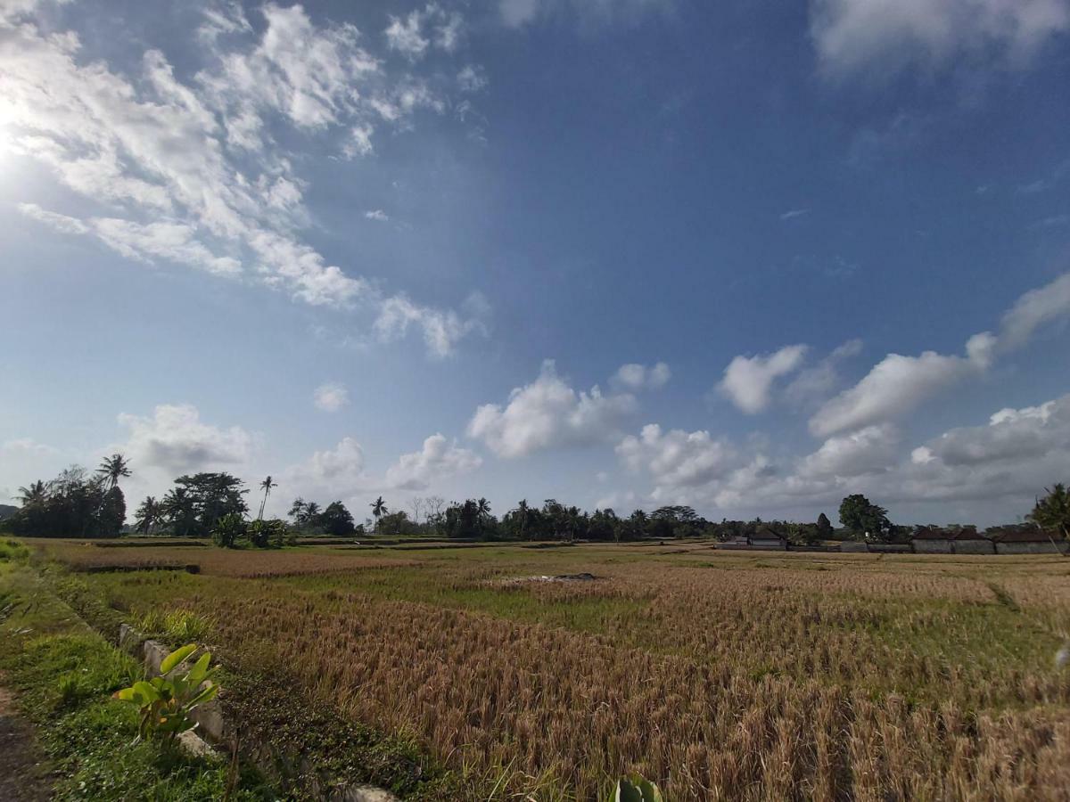 Ayuna Family Ubud المظهر الخارجي الصورة